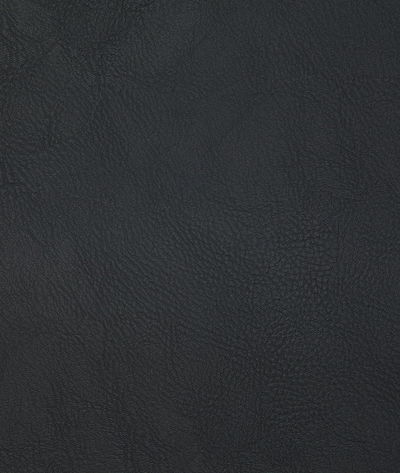 Pindler & Pindler Gitty Up Black Fabric