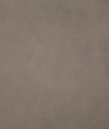 Pindler & Pindler Gitty Up Cinder Fabric