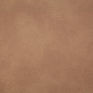 Pindler & Pindler Gitty Up Honey Fabric