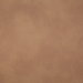 Pindler & Pindler Gitty Up Honey Fabric