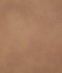 Pindler & Pindler Gitty Up Honey Fabric