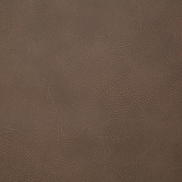 Pindler & Pindler Gitty Up Mocha Fabric