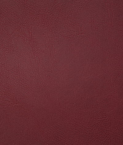 Pindler & Pindler Gitty Up Oxblood Fabric