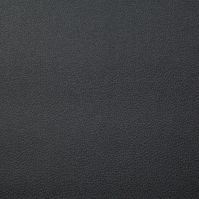 Pindler &amp; Pindler Lasso Charcoal Fabric