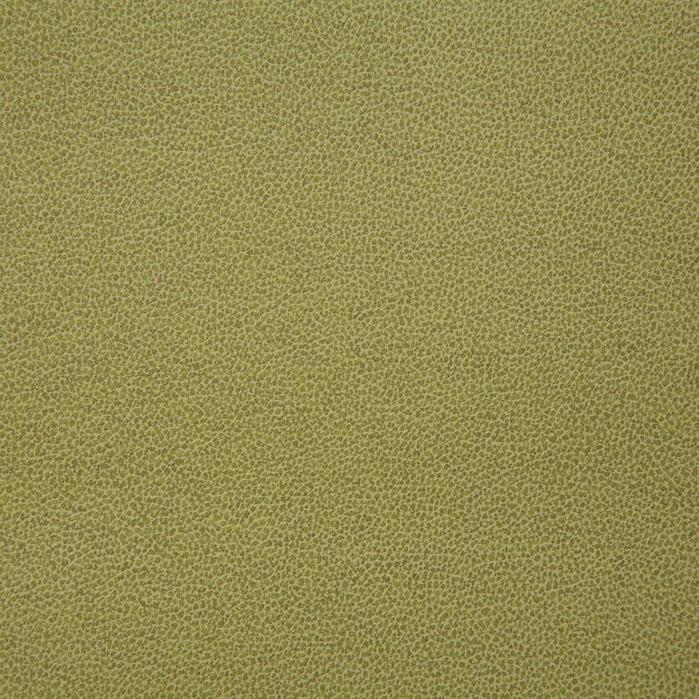 Pindler &amp; Pindler Lasso Citron Fabric
