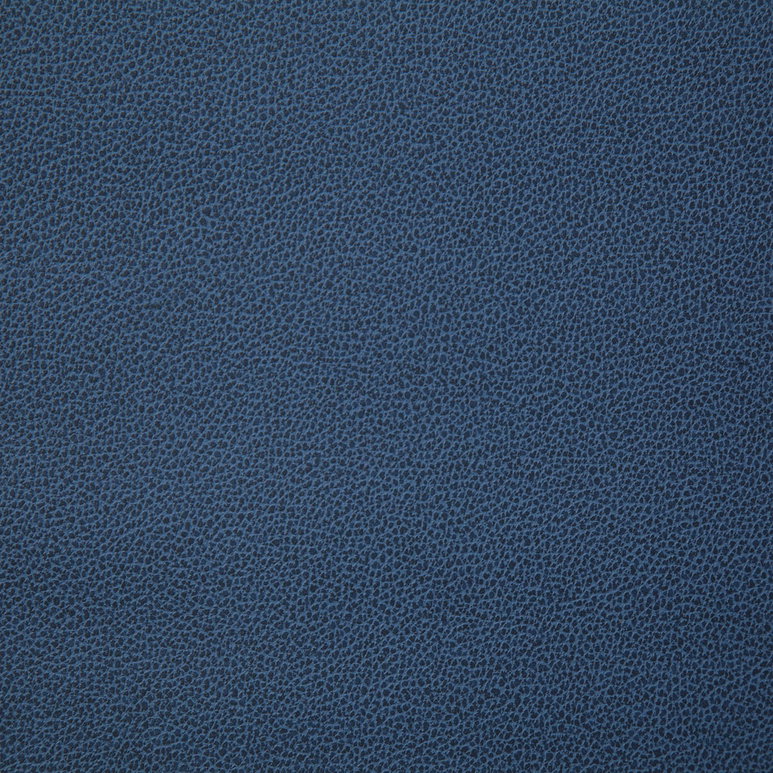 Pindler &amp; Pindler Lasso Harbor Fabric