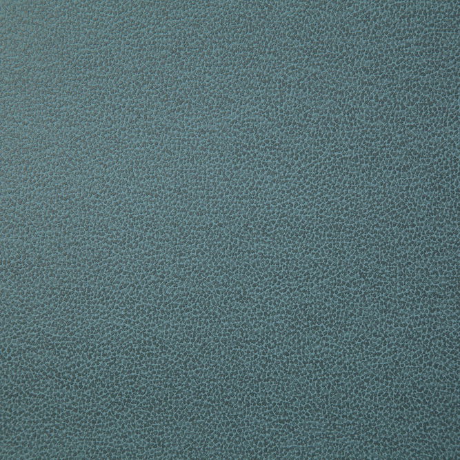 Pindler &amp; Pindler Lasso Lake Fabric
