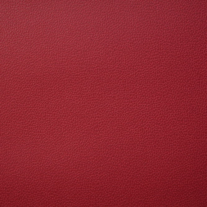Pindler &amp; Pindler Lasso Red Fabric