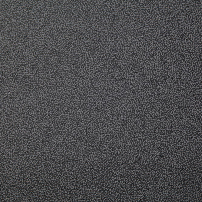 Pindler &amp; Pindler Lasso Thunder Fabric
