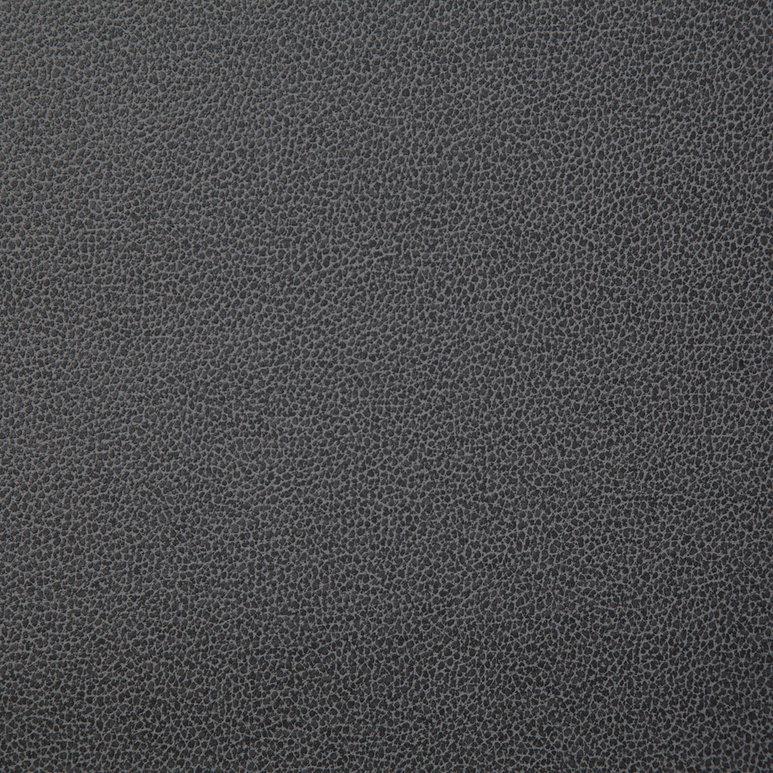 Pindler &amp; Pindler Lasso Thunder Fabric