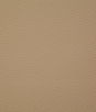 Pindler & Pindler Bandero Buckskin Fabric