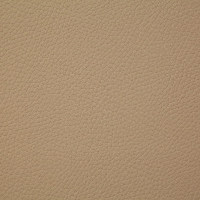 Pindler &amp; Pindler Bandero Buckskin Fabric