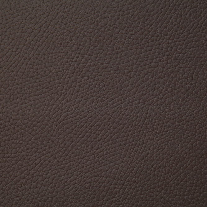 Pindler &amp; Pindler Bandero Walnut Fabric