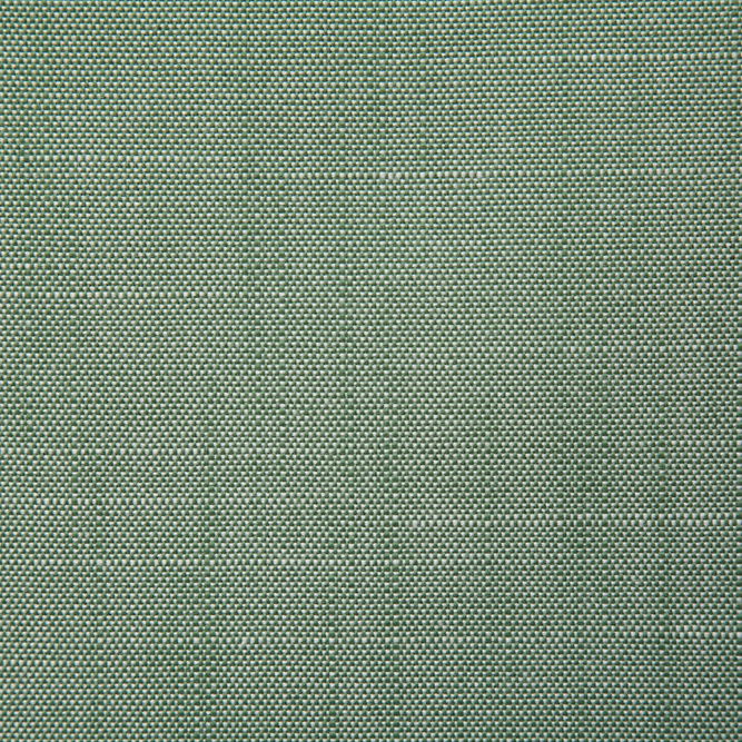 Pindler &amp; Pindler Raleigh Leaf Fabric