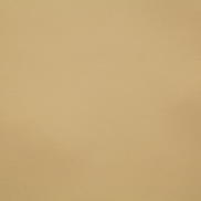 Pindler & Pindler Hayes Golden Fabric