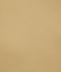 Pindler & Pindler Hayes Golden Fabric