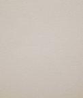 Pindler & Pindler Hayes Papyrus Fabric