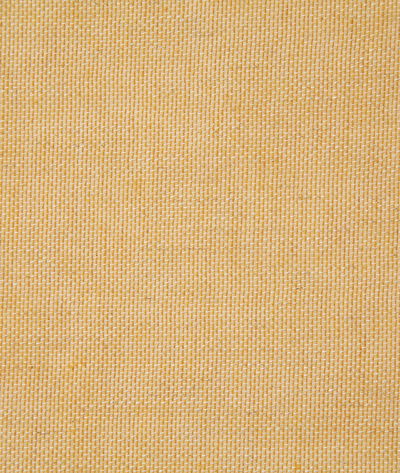 Pindler & Pindler Dunsmere Soleil Fabric
