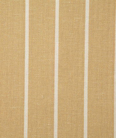 Pindler & Pindler Condon Honey Fabric