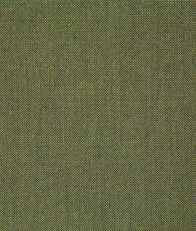 Pindler & Pindler Cliffridge Citrus Fabric