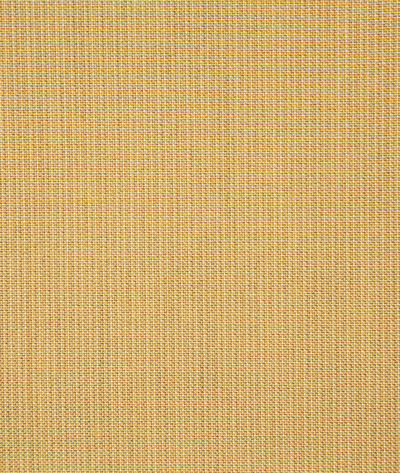 Pindler & Pindler Rockwell Butter Fabric