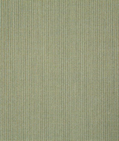 Pindler & Pindler Rockwell Spring Fabric