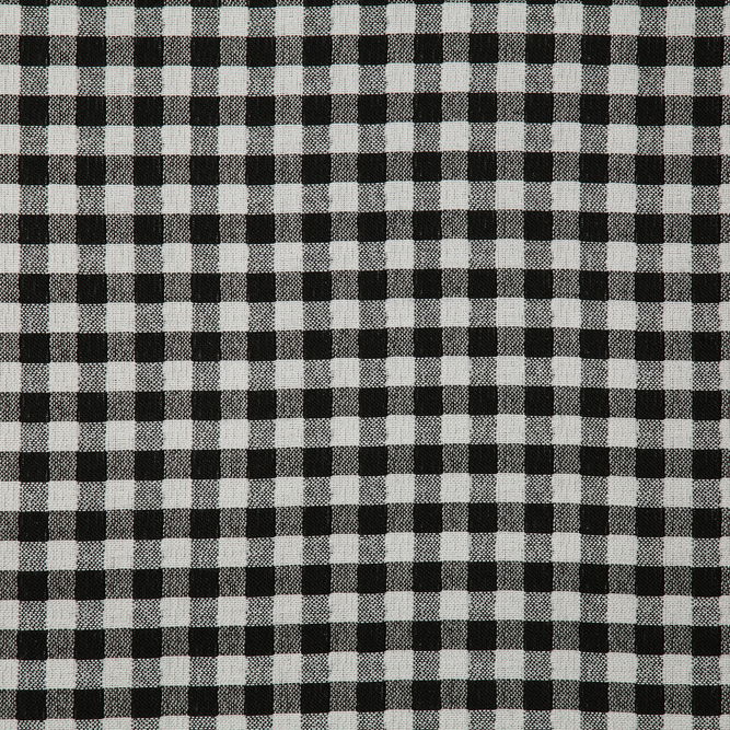 Pindler &amp; Pindler Little Gingham Domino Fabric
