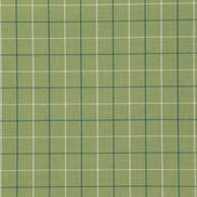 Pindler & Pindler Zuma Sprout Fabric