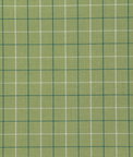 Pindler & Pindler Zuma Sprout Fabric