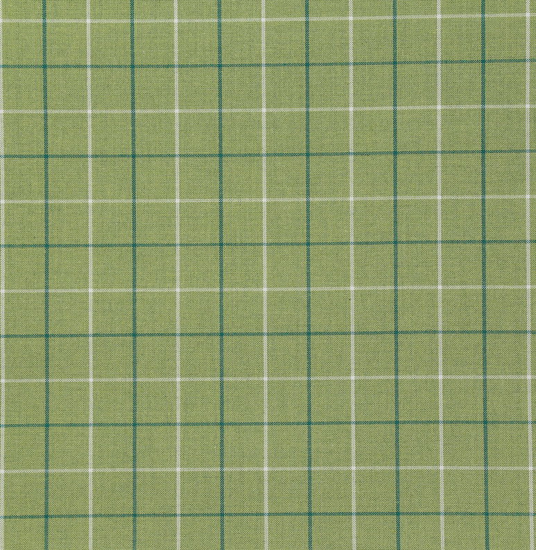 Pindler &amp; Pindler Zuma Sprout Fabric