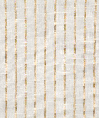 Pindler & Pindler Hardwick Dandelion Fabric