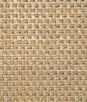 Pindler & Pindler Brendel Butterscotch Fabric