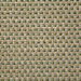 Pindler & Pindler Brendel Sprout Fabric