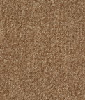 Pindler & Pindler Teddy Camel Fabric