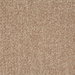 Pindler & Pindler Teddy Oatmeal Fabric