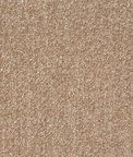 Pindler & Pindler Teddy Oatmeal Fabric