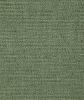 Pindler & Pindler Lenny Cactus Fabric
