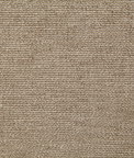 Pindler & Pindler Lenny Sparrow Fabric