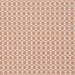 Pindler & Pindler Izzy Apricot Fabric