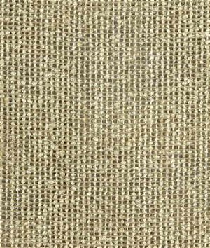 Kravet 9455.16 Natural Net Ash Fabric