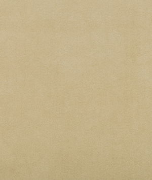 Lee Jofa Ultimate Dune Fabric