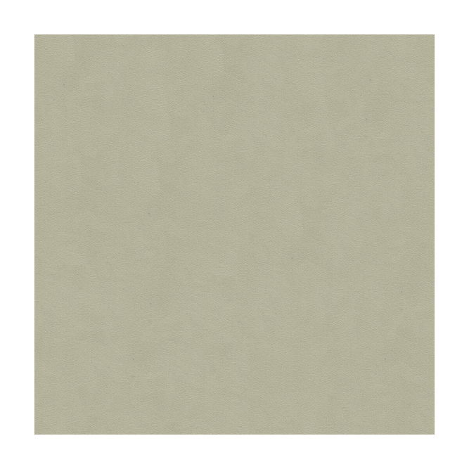 Lee Jofa Ultimate Ash Grey Fabric