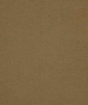 Lee Jofa Sensuede Coconut Shell Fabric