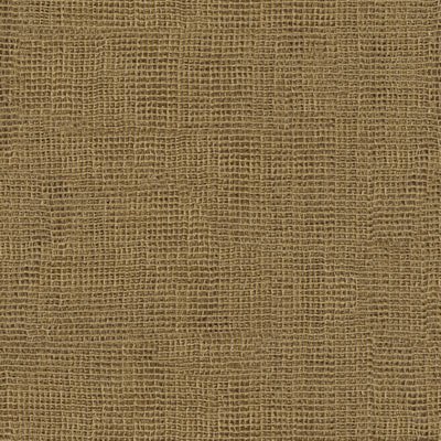 Kravet 9817.6 Entangle Gold Fabric