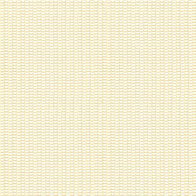 Kravet 9821.101 Integrate Mica Fabric