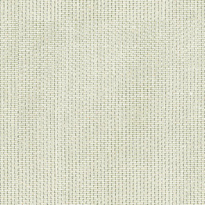 Kravet 9829.101 Blink Silver Fabric