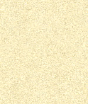 Kravet Abilene Fossil Fabric