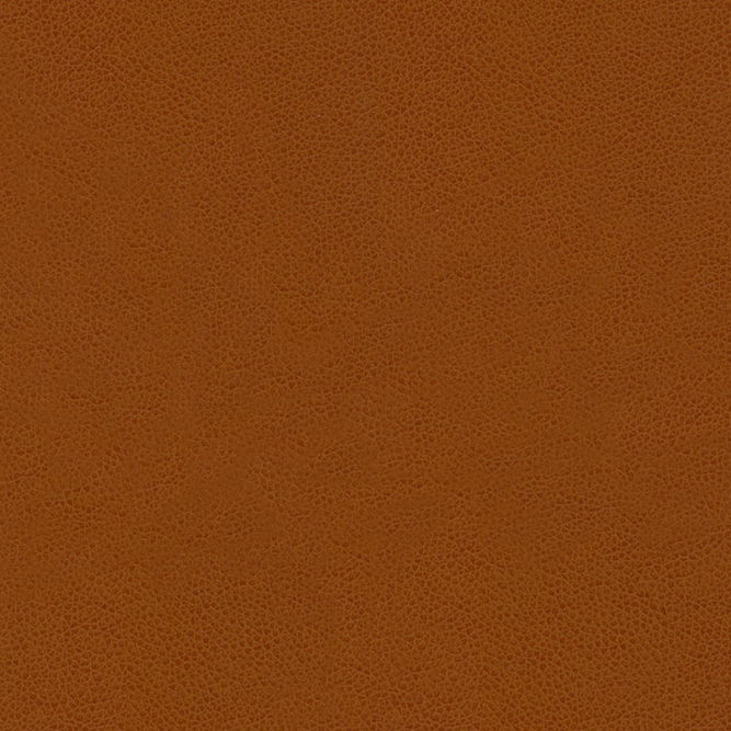Kravet Abilene Penny Fabric