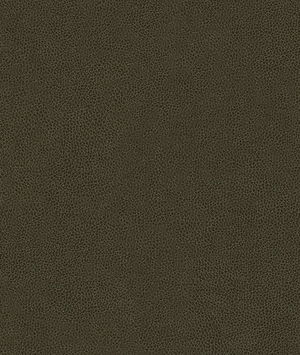 Kravet Abilene Stallion Fabric