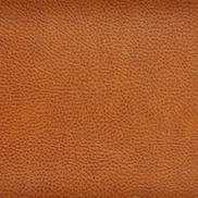 Kravet ACOUSTIC.24 Fabric